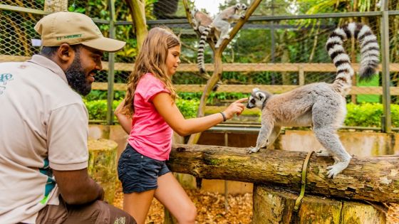 Vacances : la Vanille Nature Park élargit sa palette d’activités