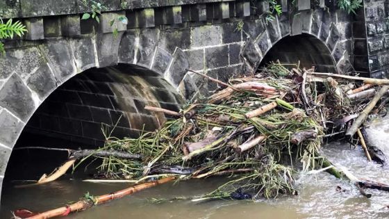 Inondation - L’origine du problème: le pont de Bramsthan bouché par des débris des champs de canne
