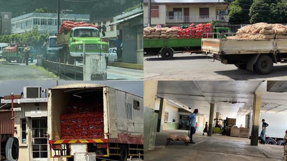 Agricultural Marketing Board : les gros distributeurs et supermarchés serviront de relais de livraison de légumes aux boutiques 