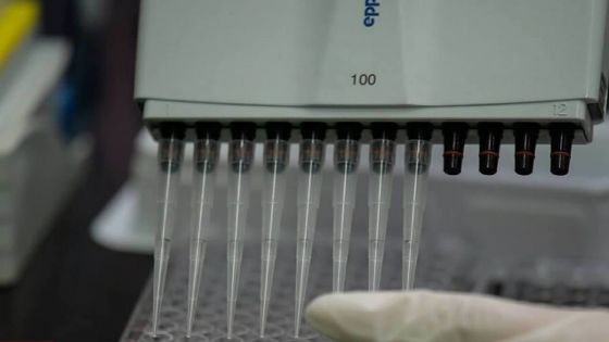 Premier test PCR négatif pour l’élève du PSAC à l’école Philippe Rivalland : son père se confie