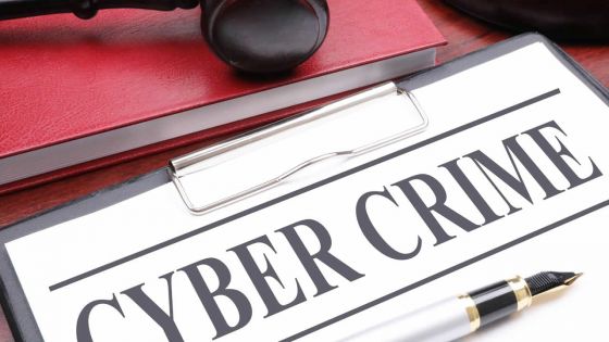 Thématique - Cybercriminalité : attention danger !