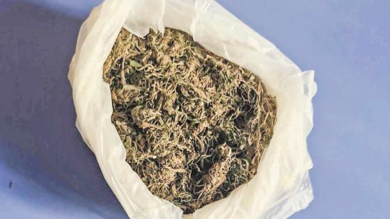 La Gaulette : une cache de cannabis découverte par la SST