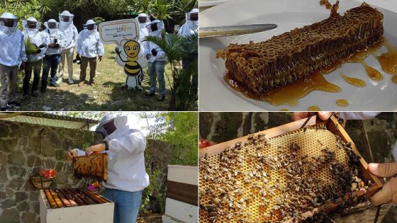 Sentier de la Biodiversité de Long Beach : plongez dans l’univers fascinant du miel issu de plantes locales