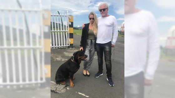 La mésaventure d’un Suédois qui voulait voyager avec son chien