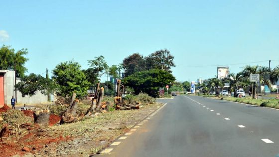 Aménagement paysager : embellissement de l’autoroute de Plaisance à Grand-Baie