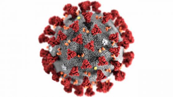 Coronavirus : l’OMS organise un forum pour préparer la riposte