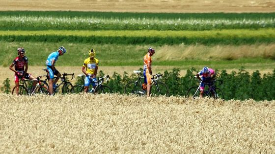 L'urine humaine, un engrais inattendu, mais efficace et moins polluant, selon des chercheurs