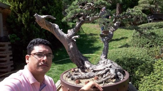 Xavier de Lapeyre : le bonsaï, tout un art