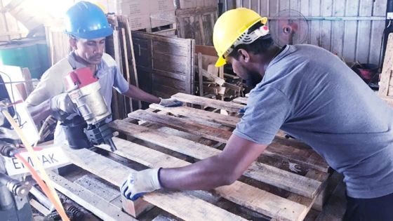 Production locale : Pallet World investit Rs 20 M