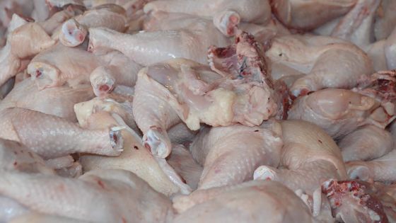De janvier 2017 à décembre 2022 : le prix du poulet a augmenté de 50 % en six ans