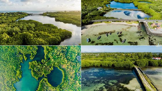 Initiative citoyenne : un Parc naturel préservé pour Roches-Noires