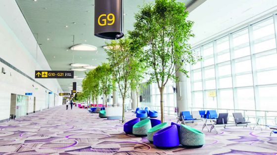 Changi Airport Terminal 4 (T4) : A new travel experience