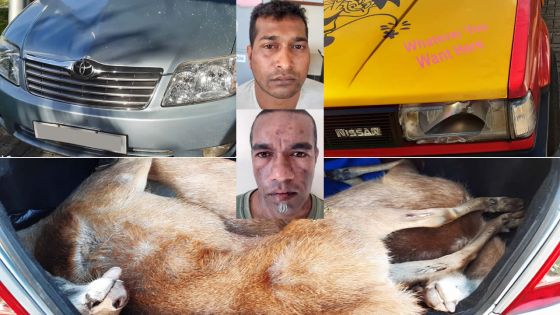 Coup de feu au Morne : des braconniers s’exhibent devant des randonneuses
