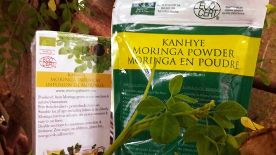 Production locale : le Moringa bientôt sur les marchés français et canadien