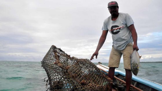 Métier - Ton Chole : «La pêche aux casiers est une pêche responsable»