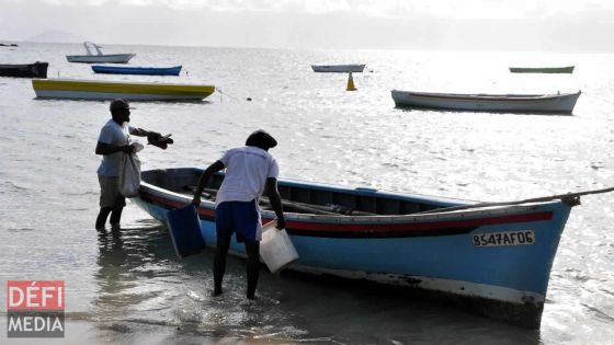 Canotte Scheme : subvention aux pêcheurs  