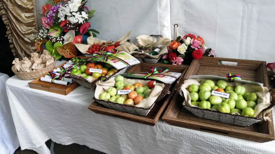 Lancement de trois variétés de pomme d’amour - Mahen Seeruttun : «Elles sont résistantes à la chaleur»