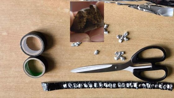 Trafic de drogue : saisie d’héroïne, de haschisch et de cannabis valant plus de Rs 3,4 M