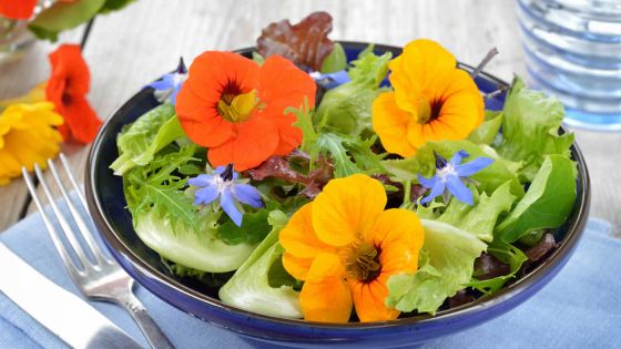 Fleurs comestibles : du jardin à la table