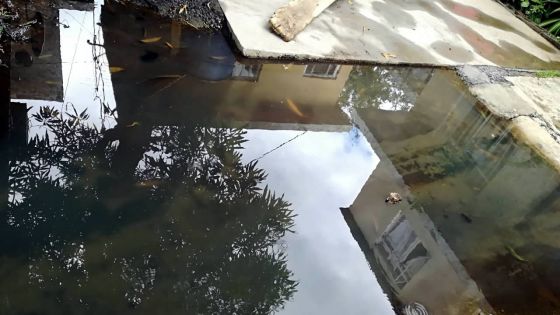 Infrastructures : des cours envahies d’eaux usées à Sainte-Croix
