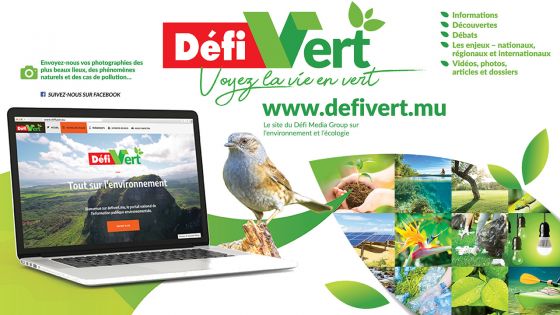 Le Défi Media Group : découvrez le nouveau site www.defivert.mu 