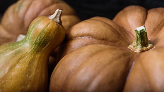 Dans l'Est : 2 tonnes de giraumon volées