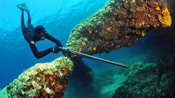 Activité illicite : le ministère de la Pêche traque les pêcheurs sous-marins