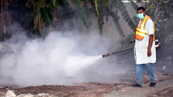 Fièvre : la dengue progresse rapidement à Vallée-des-Prêtres