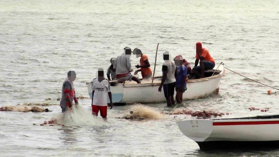 770 cas de pêche illégale