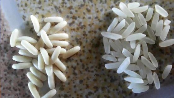 Denrée de base - Riz en plastique : veillez au grain