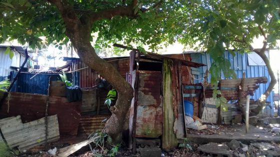 Terrains de l’État à Vieux-Grand-Port : trois familles attendent d’être relogées depuis six ans