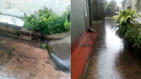 À Castel : une fosse septique déborde à cause des eaux de pluie