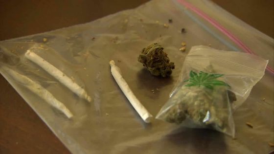 Dans le Sud : un policier accusé de possession de cannabis