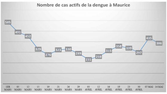 Épidémie de fièvre dengue : 300 nouveaux cas chaque semaine 