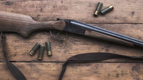 Vol de fusil de chasse et de munitions : le propriétaire verbalisé