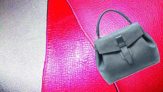 Maroquinerie : l’affaire est dans le sac chez S. Bags Ltd