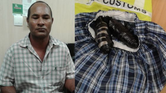 En provenance de Madagascar : un voyageur intercepté avec Rs 5,6 millions de drogue cousue dans son boxer