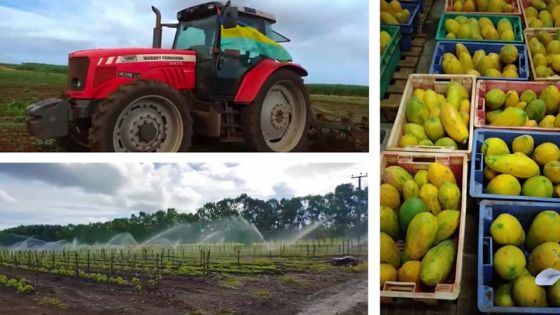 Didier Charoux,  Head of Agriculture à Medine : «Le confinement est un vrai challenge pour Les Jardins de Medine»