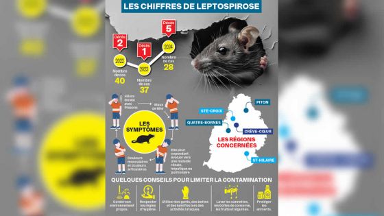 Leptospirose : cinq décès enregistrés