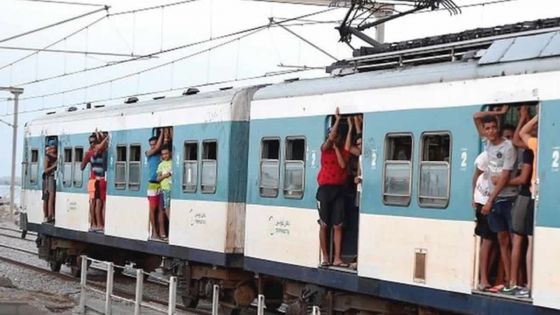 Tunisie : un conducteur arrête son train... pour acheter des pêches