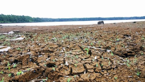 Les réservoirs remplis à 52,4 % : la CWA et la WRU à la recherche de ‘boreholes’