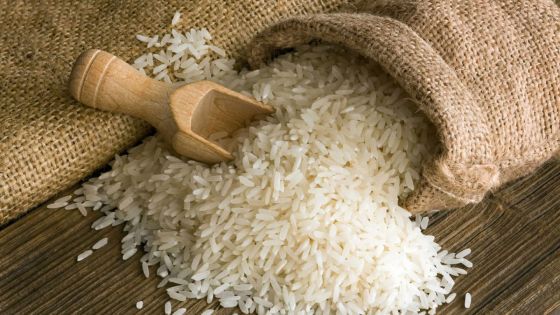 Riz Basmati: un certificat d’authenticité exigé