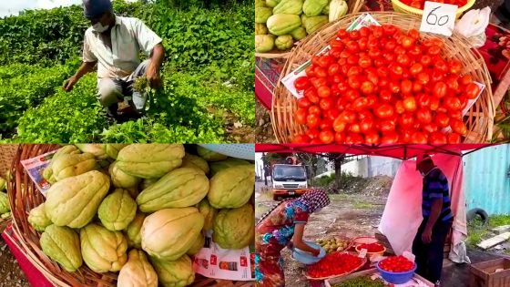 À Nouvelle Découverte : Quand le confinement ralentit la vente des légumes