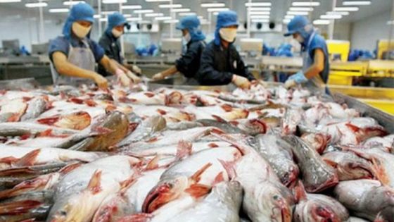 Poissons et sous-produits de poisson : les exportations grimpent de plus de 10 %