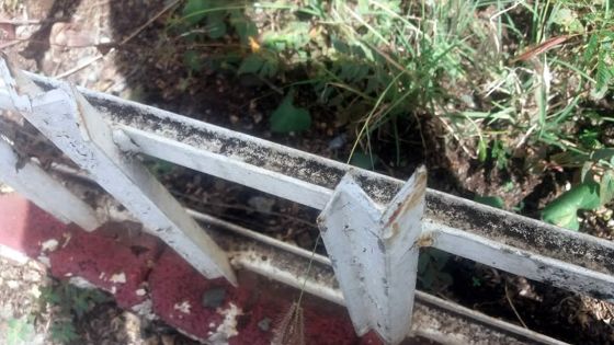 Pour décourager les cambrioleurs : un résident d’Albion installe une clôture dangereuse sur la voie publique