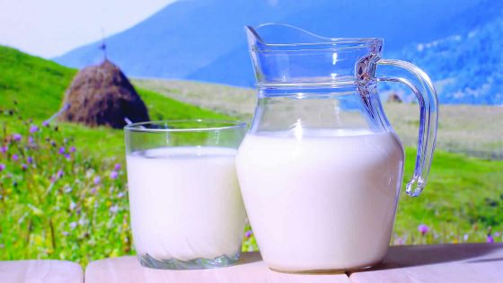 Journée mondiale du lait 20 600 tonnes de lait consommées en 2016