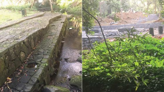 Travaux au Jardin botanique de Curepipe : la mobilisation s’accentue 