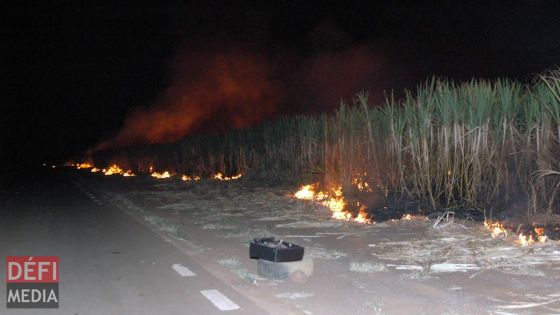 1 200 hectares de cannes à sucre brûlés en 2020 : «Aret Bril Kann !» une campagne lancée par Terra 