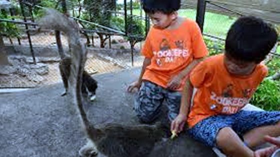 Casela : profiter des vacances dans un  ‘zookeeper camp’
