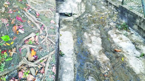 Au Champ de Mars : des eaux usées envahissent un chemin